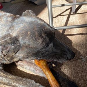 Meet your Posher, Craig